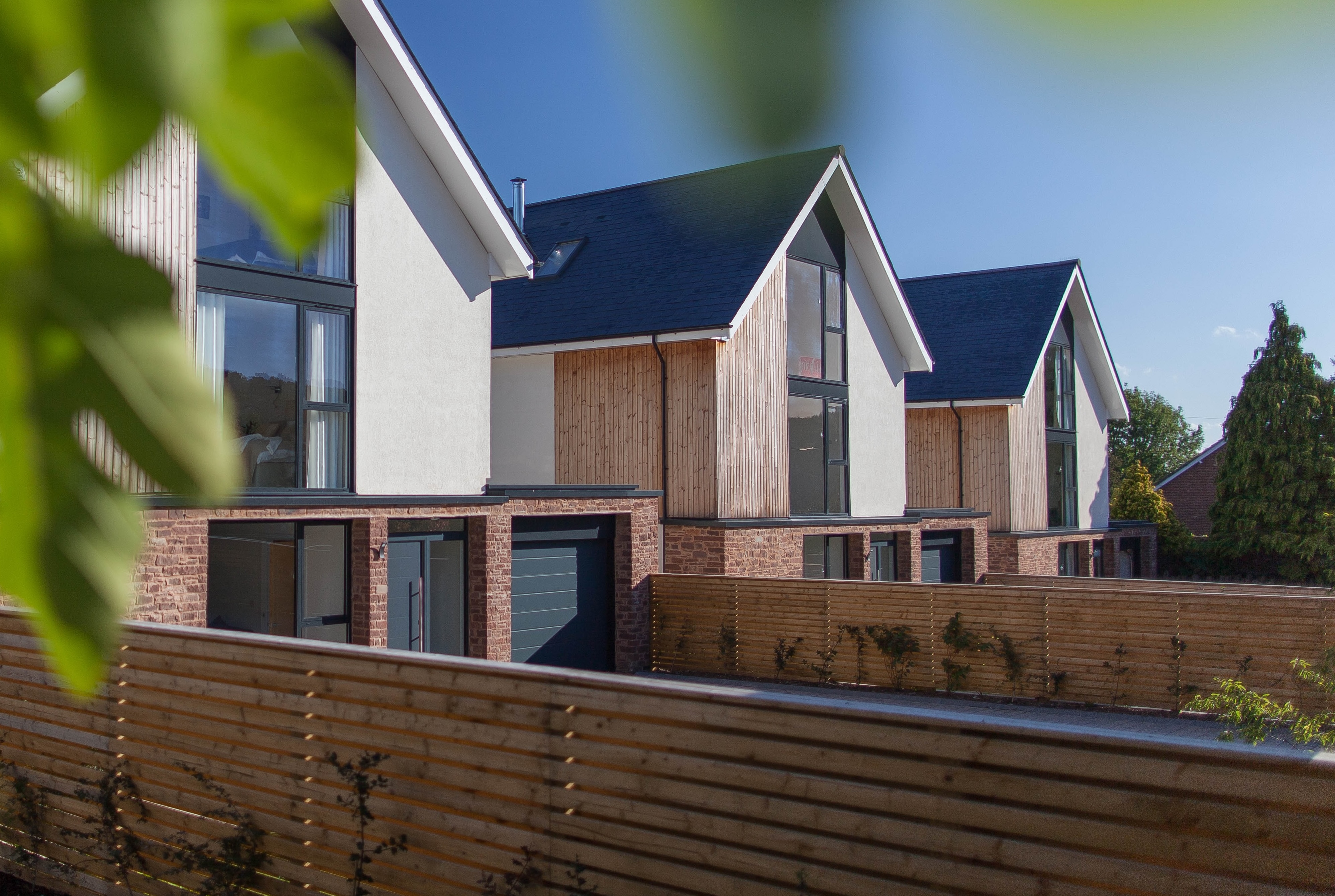 Modern Freeman homes seen through green foliage